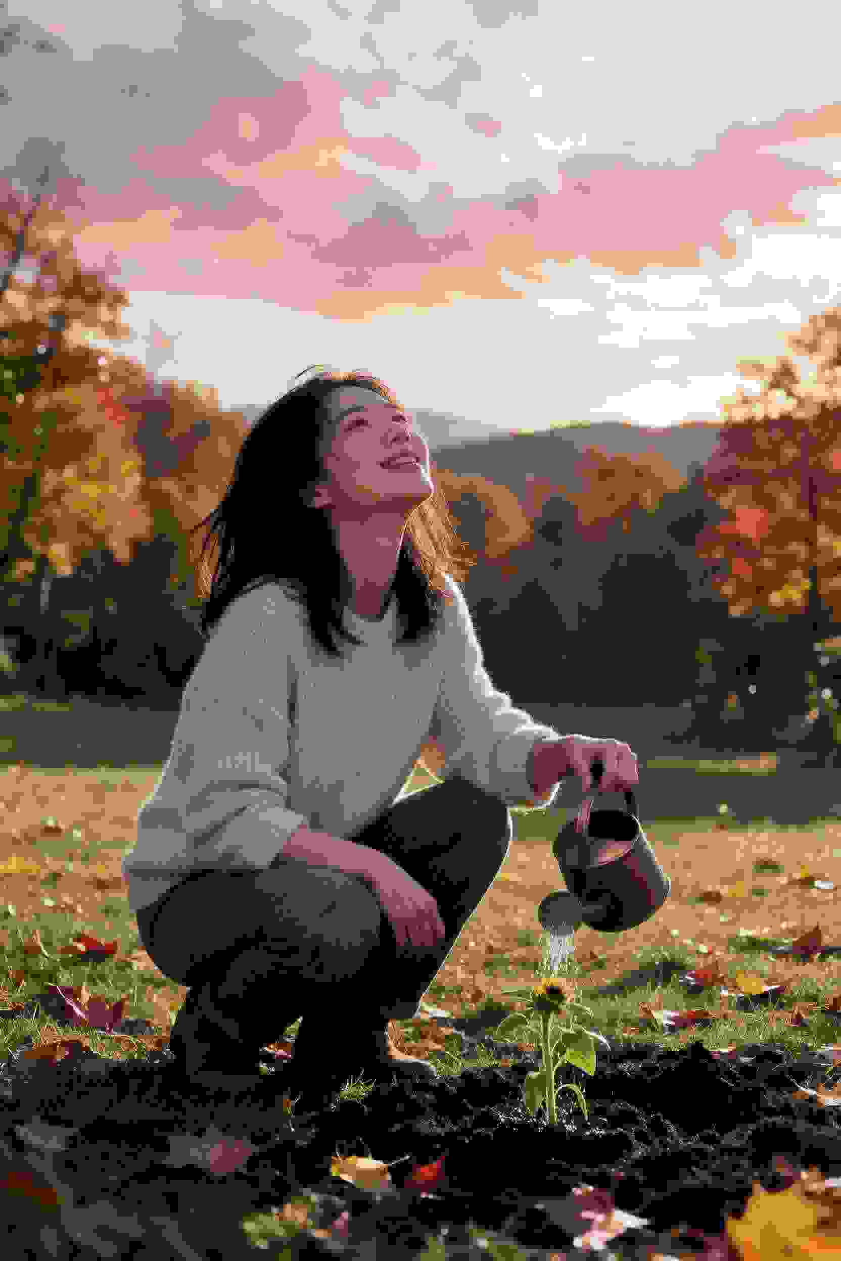 樱花宠物